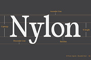 El Fonte Angelia | Ligature Serif, a Serif Font by Gilar Studio (Thumbnail 2 of 11)
