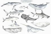 Undersea world Watercolor, an Animal Illustration by Marina Ermakova (Thumbnail 2 of 12)