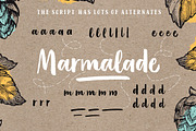 Organika Serif, a Serif Font by Mika Melvas (Thumbnail 4 of 9)