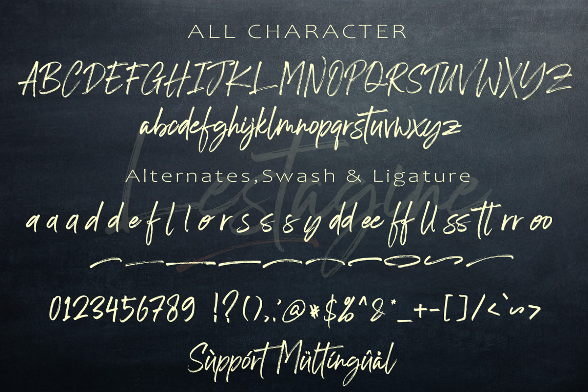 Lestagine, a Script Font by AMINMARIO (Photo 15 of 16)
