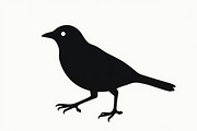 Bird Silhouette design bundle, an Illustration by hafijul (Thumbnail 11 of 13)