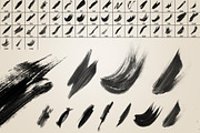 51 Handcrafted Watercolor Brushes, a Brush Add-On by Layerform Design Co. (Thumbnail 2 of 3)
