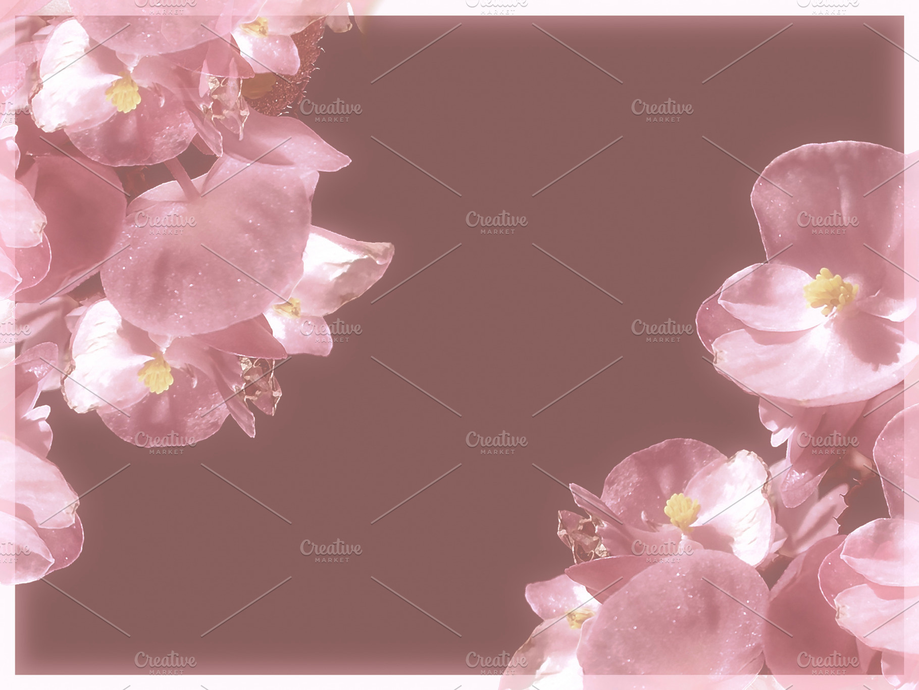 Blooming flowers borders decoration background, an Abstract Photo by DanFLCreativo