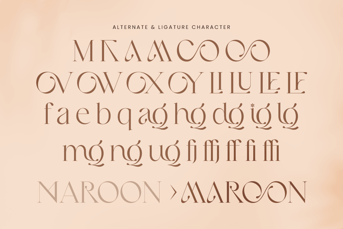 LOOK - Modern Elegant Logo Font, a Serif Font by Sensatype (Photo 12 of 13)