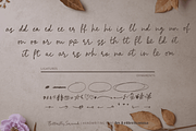 Butterfly Serenade Font, a Handwritten Font by Letterhanna Studio (Thumbnail 10 of 13)
