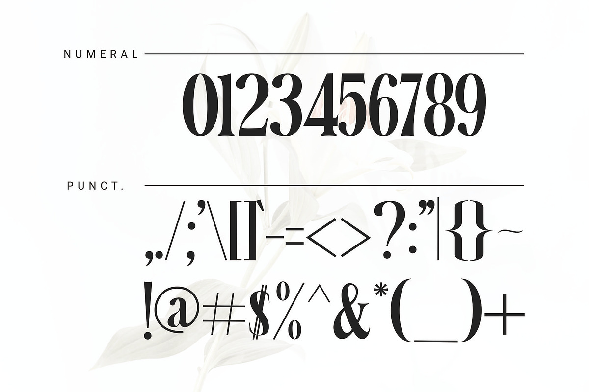white over font serif, a Serif Font by azdaffstudio (Photo 8 of 14)