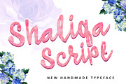27 IN 1 FONT BUNDLE - 98% OFF, a Script Font by QueenType (Thumbnail 24 of 24)