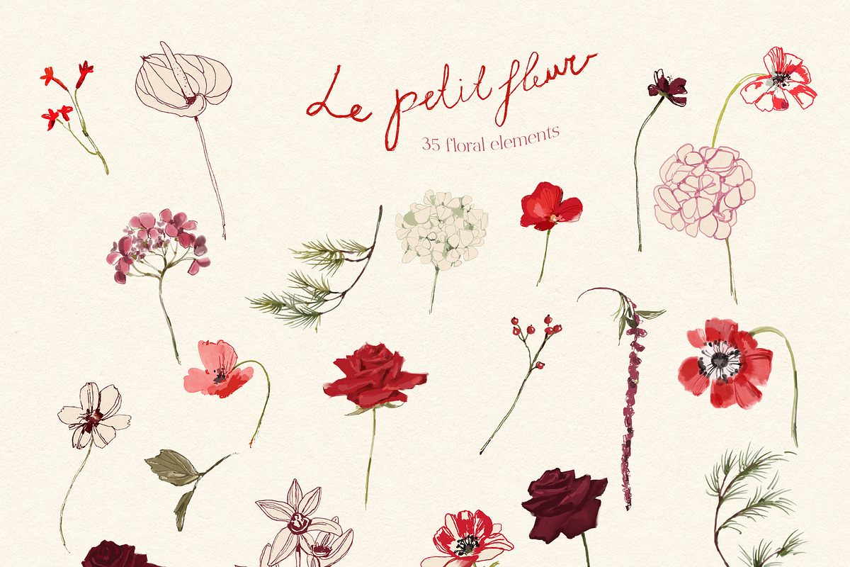 Red Burgundy Flowers PNG, a Decorative Illustration by whiteheartdesign (Photo 7 of 17)