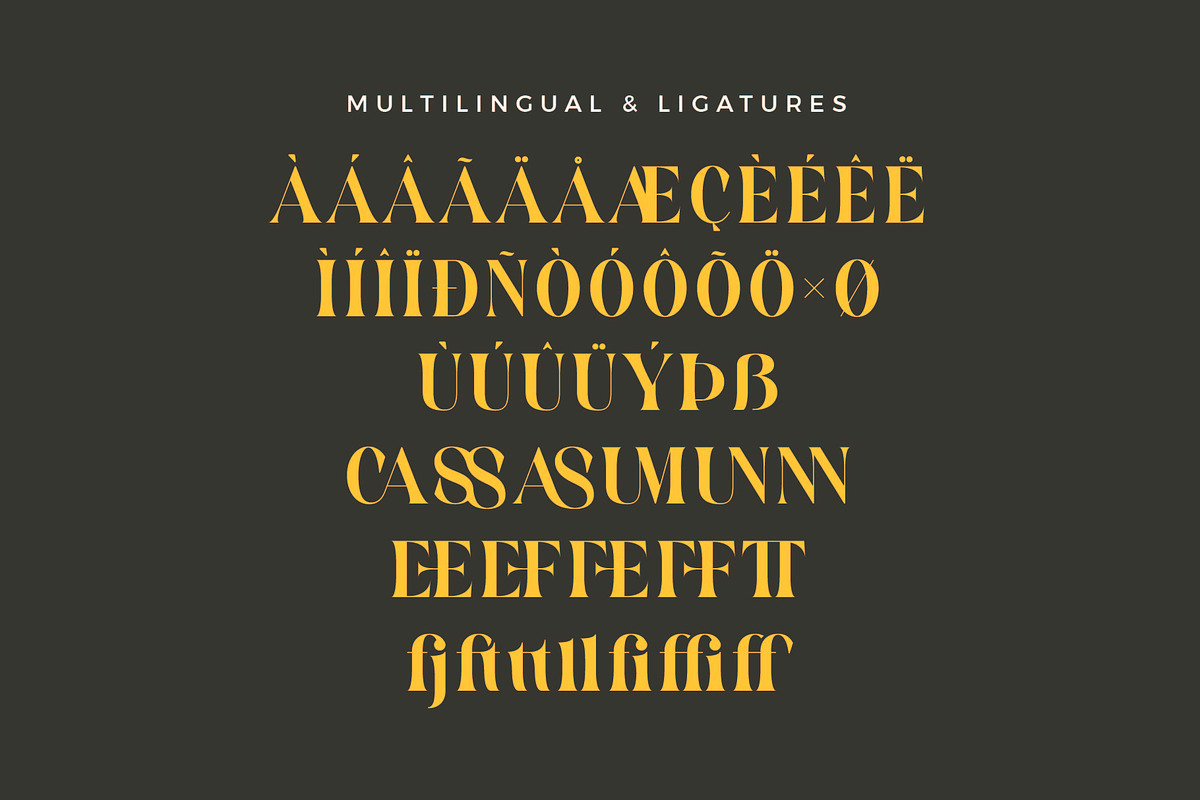 Casson - Display Serif Font, a Serif Font by Aqeel_Art (Photo 9 of 9)