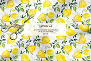 CITRUS FRUITS, an Illustration by Elena_Sedova (Thumbnail 7 of 8)