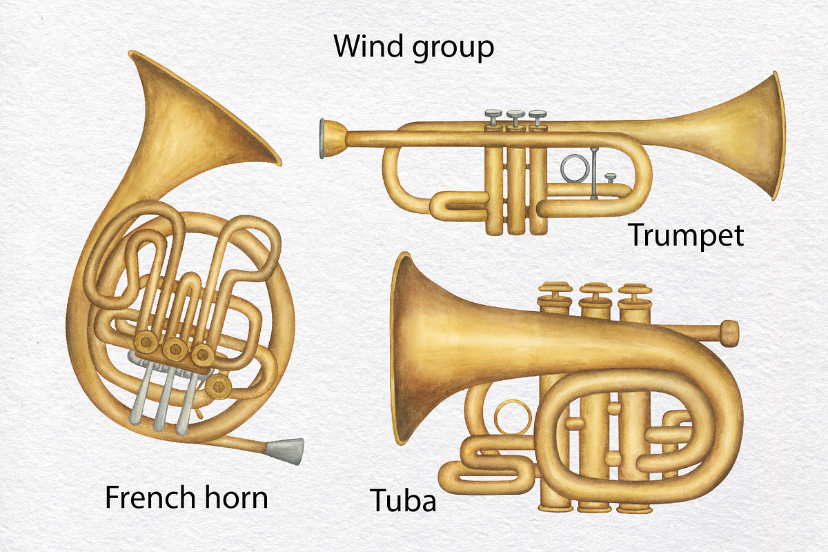 Musical Instruments Watercolor Set, an Education Illustration by KathrineWatercolor (Photo 2 of 9)