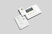 Website Pages Mockup for Web Design, an iPad Mockup by My Code Std (Thumbnail 4 of 5)