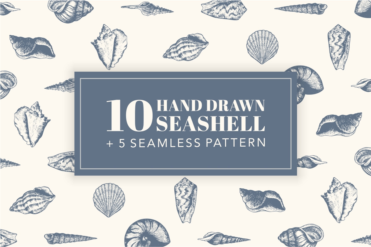10 Hand Drawn Seashell + 5 Patterns, an Object Illustration by Storyteller Imagery (Photo 1 of 7)