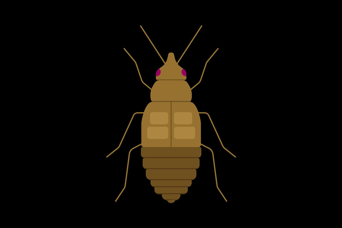 Brown Bed Bug Insect, a Solid Icon by Buqancreative (Photo 2 of 2)