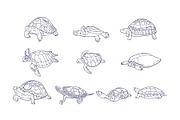 Breeds Turtle Handdrawn Vol 2, an Animal Illustration by SLAB! Design (Thumbnail 3 of 3)