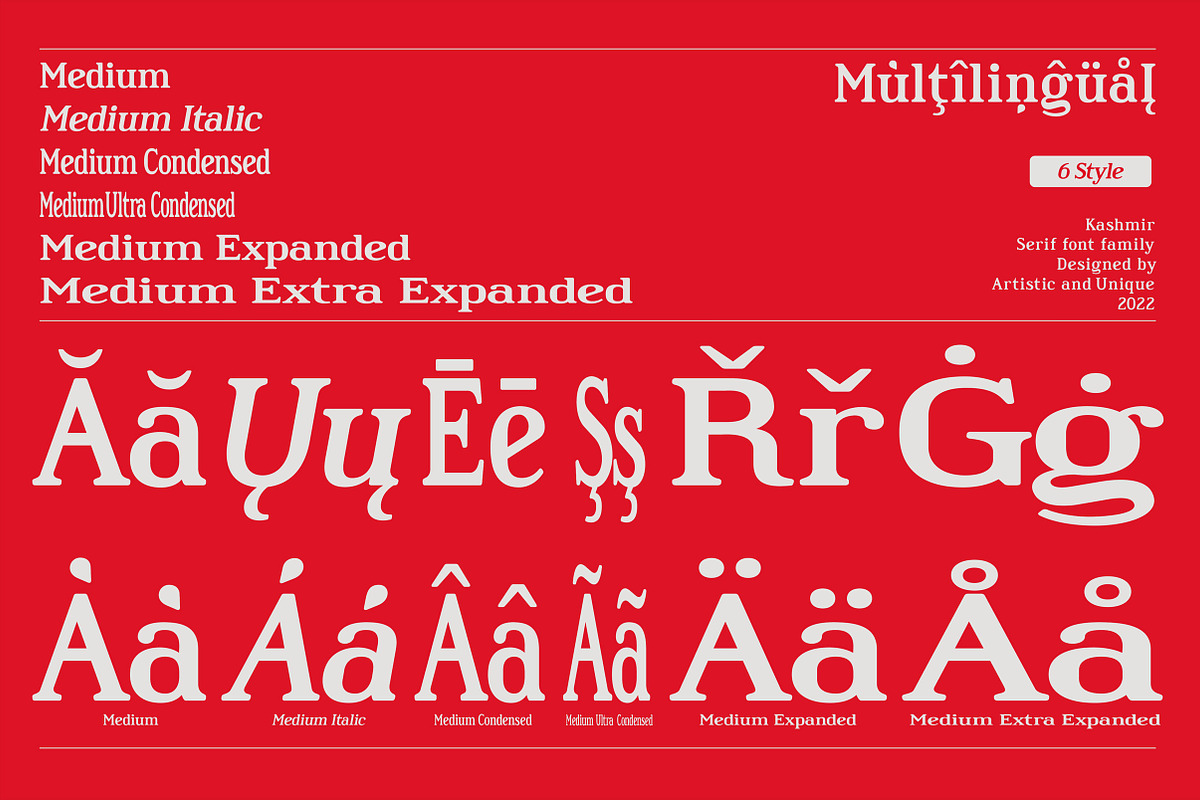 Kashmir - Serif font family, a Serif Font by Artistic & Unique (Photo 6 of 15)