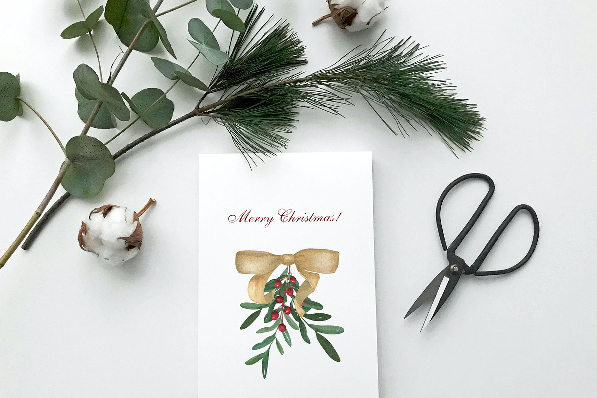 Scandinavian Winter Christmas Floral, a Decorative Illustration by Catch the Dream Art (Photo 17 of 17)