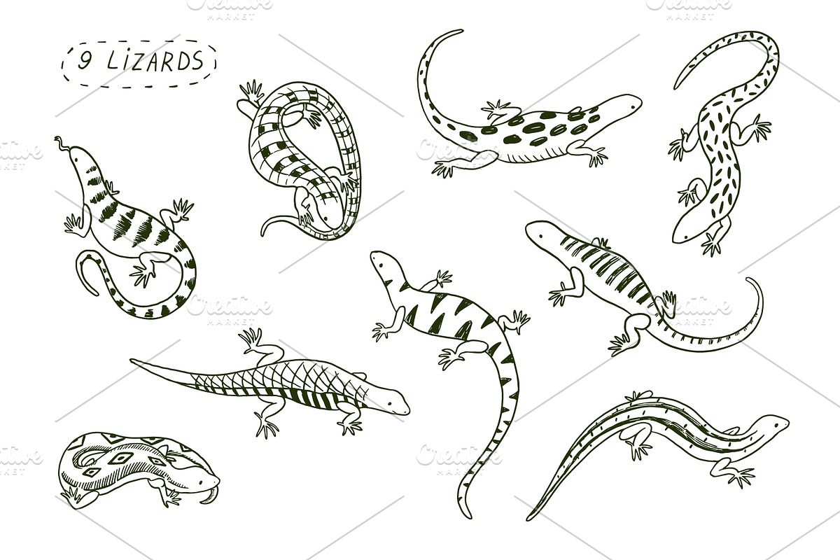 9  Lizards, an Animal Illustration by GooseFrol (Photo 2 of 6)
