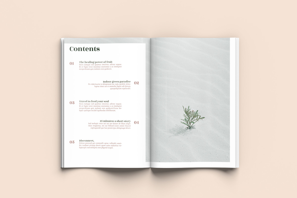 Seed - A4 Magazine Template, a Magazine Template by Tèrso. (Photo 4 of 10)