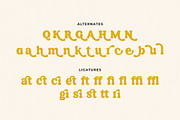 Krimside - Retro Groovy Serif, a Serif Font by Typia Nesia (Thumbnail 11 of 13)