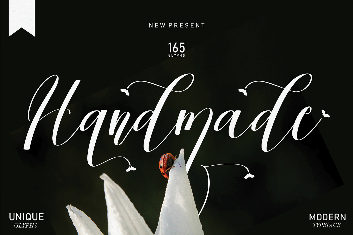Beautiful Font Bundles Collections, a Script Font by Scratchones (Photo 11 of 24)