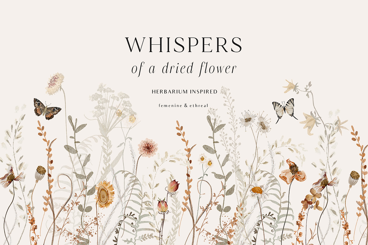 Wildflowers watercolor floral botany, a Decorative Illustration by Grace Noboa Illustrations (Photo 7 of 17)