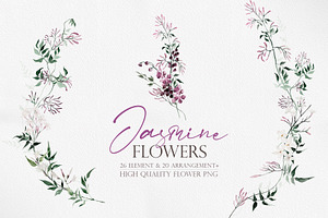 Watercolor flower - Jasmine, an Illustration by Beigetime