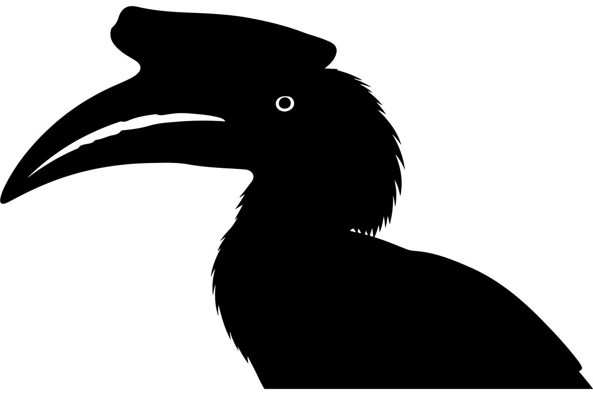 Bird Silhouettes Flying Sideways, an Animal Illustration by Designer_Momina (Photo 12 of 21)