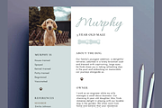 Pet Resume Rental Application, a Resume Template by Climbwithelevator (Thumbnail 1 of 7)