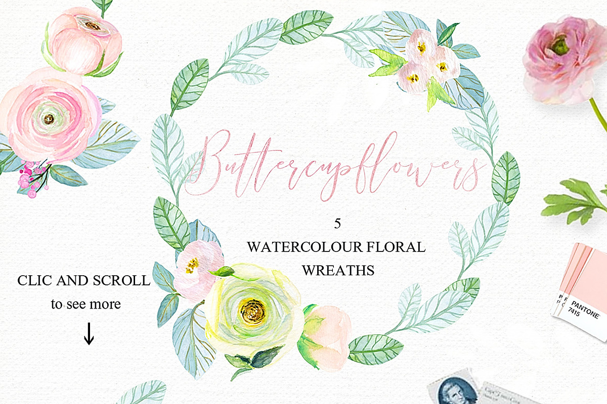 -50% Off Buttercups. Ranunculus pink, an Illustration by LABFcreations (Photo 9 of 12)