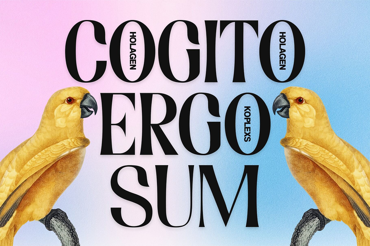 Holagen - A Decorative Display Font, a Handwritten Font by Koplexs Studio (Photo 8 of 10)