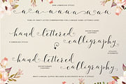Fashionista Modern Calligraphy, a Script Font by Emily Spadoni (Thumbnail 7 of 9)