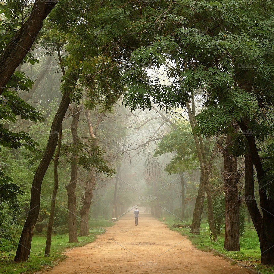 Lonely Man Among Trees