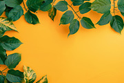 99 Frames of green leaves, a Nature Photo by Handmadefont (Thumbnail 20 of 100)