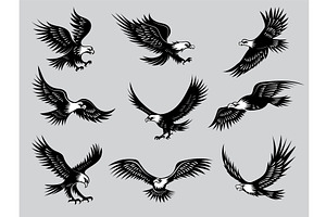 Flying Eagles. Silhouettes Of Birds