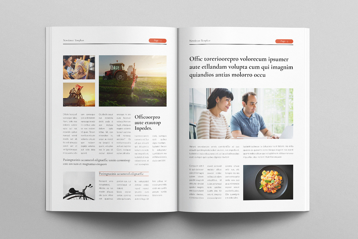 News Letter Template, a Brochure Template by E-Type (Photo 2 of 6)