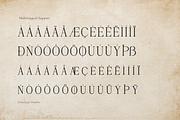 Rinovich | Display Serif Font, a Serif Font by gracetype_studio (Thumbnail 11 of 12)