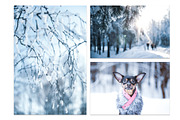 Winter Bundle - 24 jpg, a Background Photo by WildStrawberry Magic (Thumbnail 7 of 8)