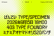 403 Neusten, a Sans Serif Font by 403 Type Foundry (Thumbnail 2 of 16)