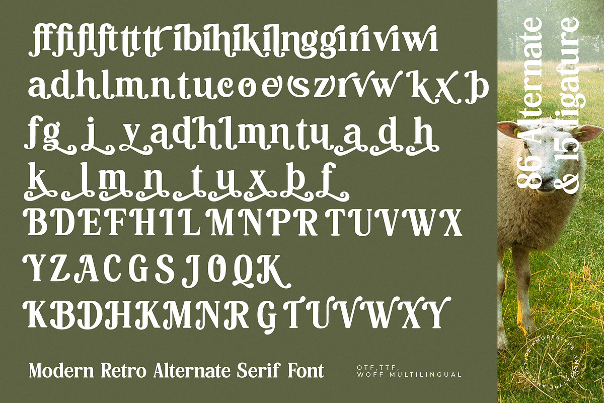 Hasbor Modern Alternate Serif Font, a Serif Font by AmorfaType (Photo 11 of 11)
