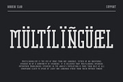 Nordin Slab - Condensed Slab Serif, a Slab Serif Font by Craft Supply Co. (Thumbnail 13 of 16)