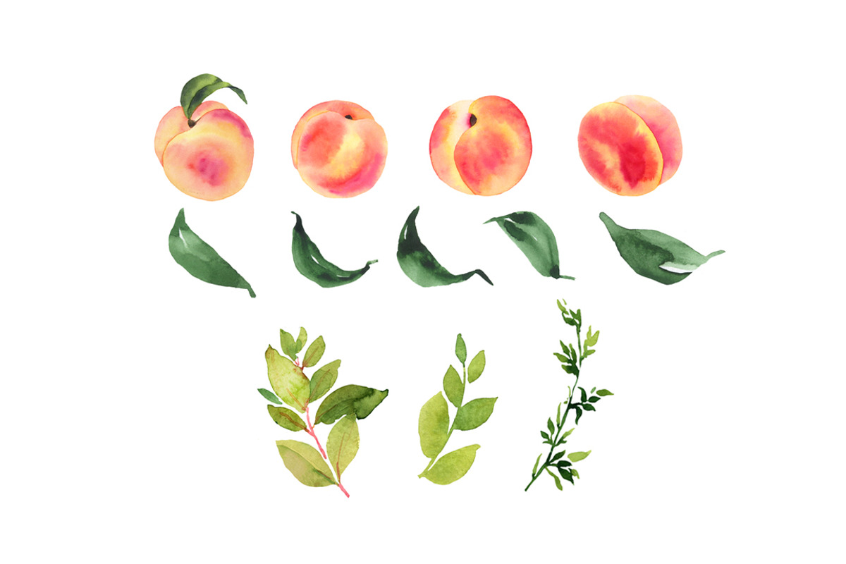 Peaches watercolor clipart, a Food Illustration by AnnelyBlooms (Photo 2 of 6)