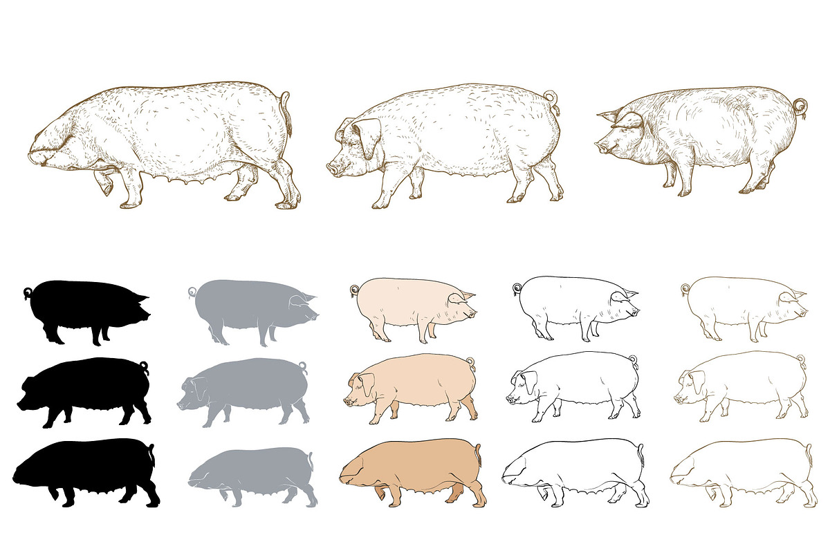 Eco pig farm, an Object Graphic by ArtOwl (Photo 1 of 7)