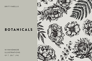 Hand-Illustrated Botanicals Vectors