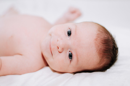 portrait of a newborn in studio lighting against white, a Person Photo by rubenchase