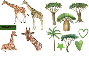 Watercolor African Animals Clipart