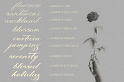 Laurente - Family Script Pro, a Script Font by Slex Studio (Thumbnail 11 of 13)