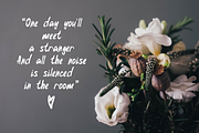 Iriska Brush Font Latin & Cyrillic, a Script Font by SOVA (Thumbnail 7 of 8)