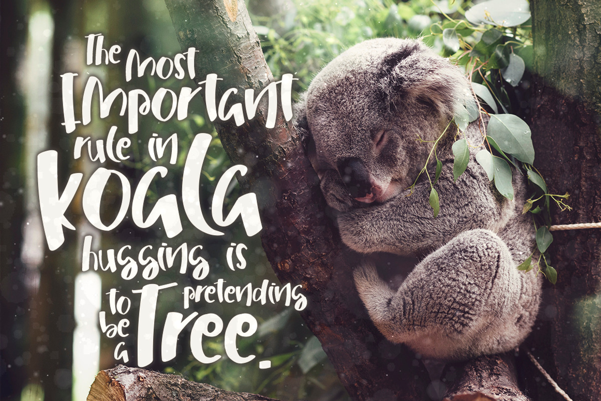 Mahatma Typeface, a Script Font by SmartDesigns (Photo 5 of 5)