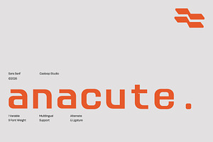 Anacute – Industrial Mono Sans